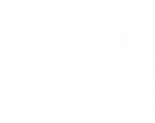 Halloween-spider-web